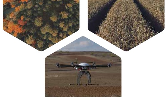 Curso de fundamentos y aplicaciones de los drones en el sector agroforestal