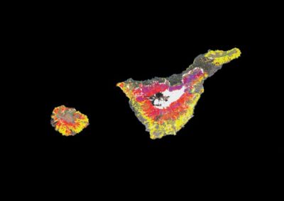 Cartografía de alta resolución de modelos de combustible forestal: metodología de bajo coste basada en datos LiDAR