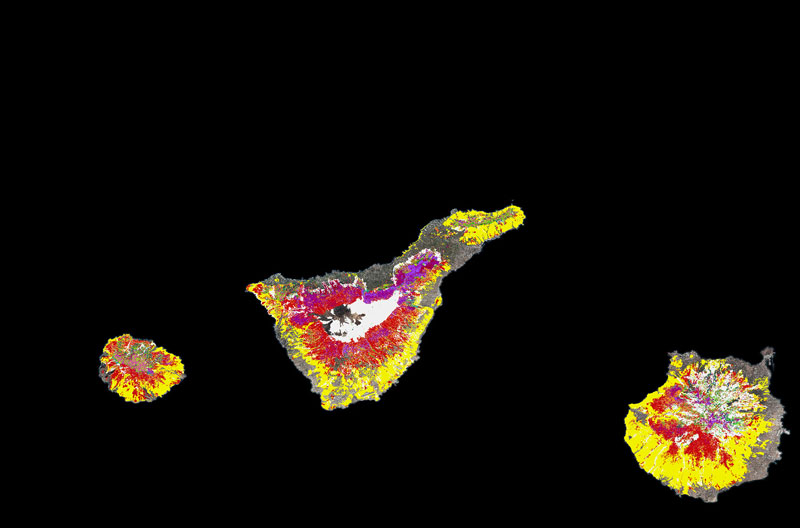 Cartographie des modèles de combustible forestier des Canaries à partir de données LiDAR aériennes