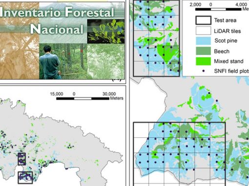 Servicio para la mejora en la estimación y localización de existencias forestales en La Rioja