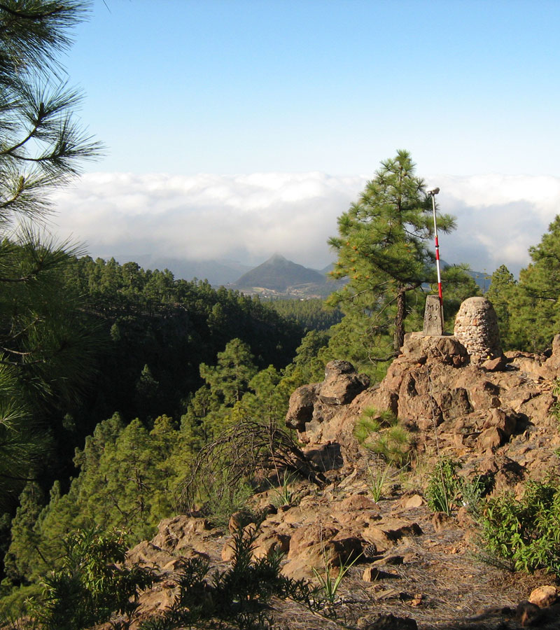 Defensa de la propiedad forestal