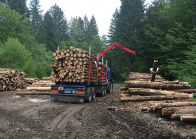 SIMWOOD (Sustainable Innovative Mobilisation of Wood)