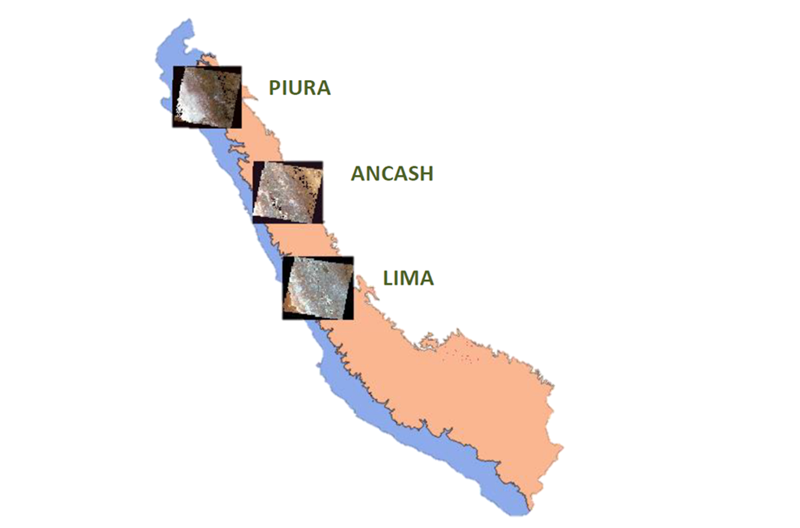 Production of basemaps and maps of forest loss in the coast and mountains of Peru