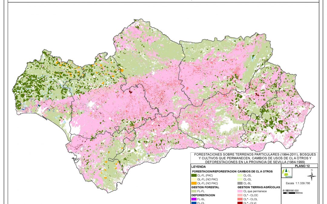 Servicio para el estudio de estimación de flujos de GEI en Andalucía debidos a usos de la tierra, cambios de uso de la tierra y selvicultura