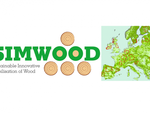 SIMWOOD (Mobilisation durable et innovante du bois)