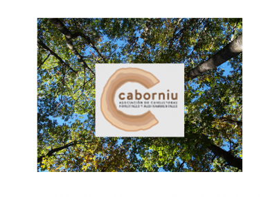 Presentada la Asociación Asturiana de Consultoras Forestales y Medioambientales CABORNIU