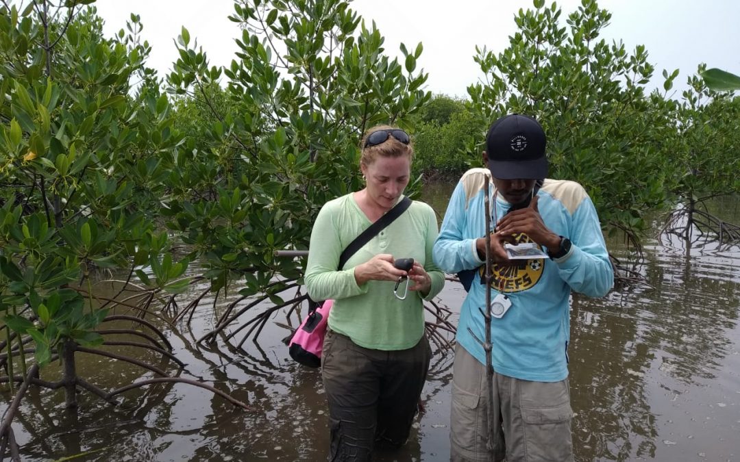 AGRESTA acompaña en el proceso de validación y verificación de un proyecto de restauración y protección de manglares en la isla de Sumatra (Indonesia)