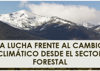 Jornada: «La lucha frente al cambio climático desde el sector forestal»