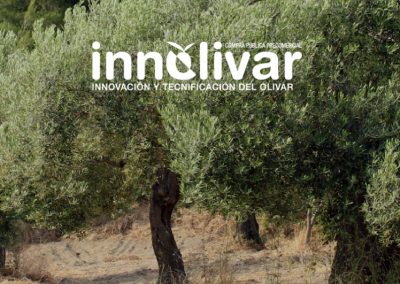 INNOLIVAR: soluciones para la lucha contra la erosión en el olivar