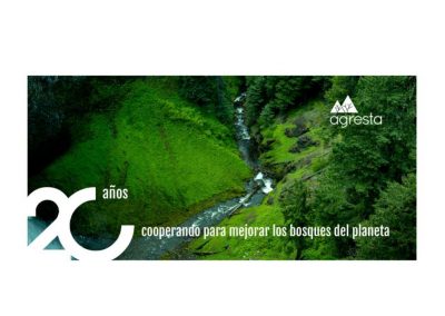 20 años cooperando para mejorar los bosques del planeta