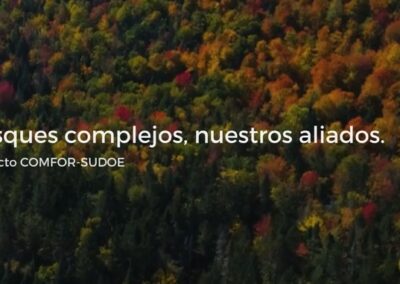 Última fase del proyecto COMFOR-SUDOE Gestión integrada e inteligente de bosques complejos y plantaciones mixtas del SUDOE