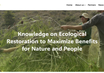 Lanzamiento web de TEAM#UP: un centro de recursos educativos para la restauración ecológica