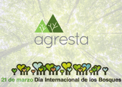 Día Internacional de los Bosques 2024: innovación aplicada a la gestión forestal