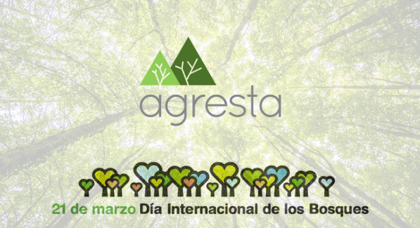 Día Internacional de los Bosques 2024: innovación aplicada a la gestión forestal