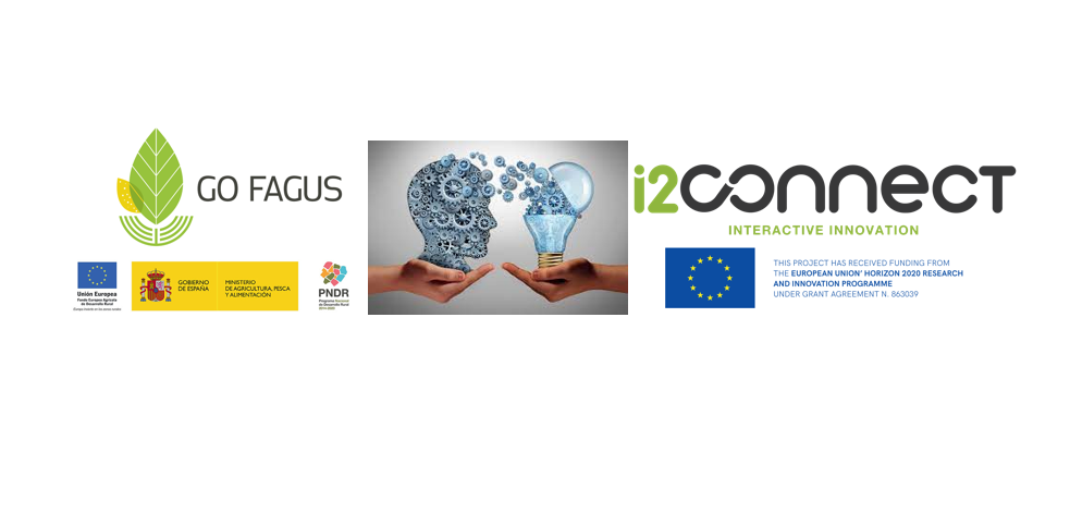 GO FAGUS elegido como un caso de éxito de innovación interactiva dentro del proyecto europeo i2connect